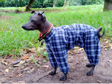 ����������� viber 2020-08-13 07-52-59.jpg