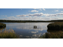 IMG 20200820 150720.jpg