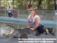 ����������! ���������� �����!