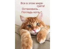 �ӣ � ���� ���� - �����! ���������� ... ������� ���� ...