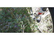 IMG 20200823 135428.jpg