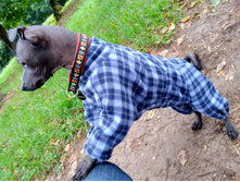 ����������� viber 2020-08-13 07-53-00.jpg