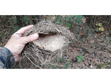 IMG 20200830 135040.jpg