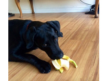 �� ��������!