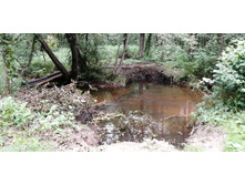 IMG 20200830 141202.jpg