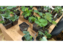 IMG 20200828 151758.jpg