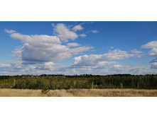 IMG 20200822 145030.jpg