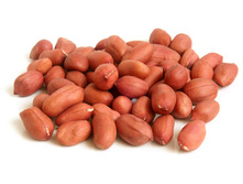 ������ ���������