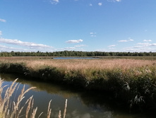 IMG 20200820 150255.jpg