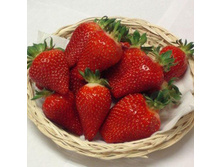 ���� (���� �� ���������)