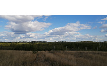 IMG 20200822 144605.jpg