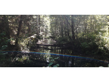 IMG 20200823 124842.jpg