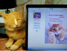 �� ��� ��� ������ � ������� ...