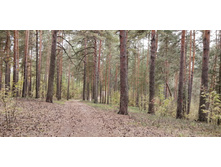 IMG 20200830 162716.jpg