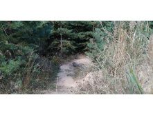 IMG 20200823 115524.jpg