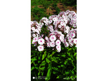 ����� ����� � ��������� ������