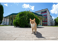 ��, �� ����� ...