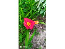 �������� ������ �����