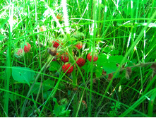 20200711 �� �������� 171756.jpg