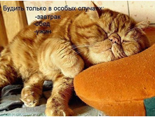 ������ ������ � ��������� ������� - �������, ����, ����!