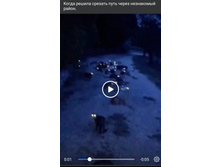 Screenshot 20200804 073742.jpg