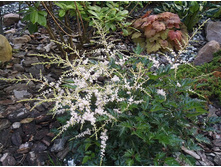 �������� ������