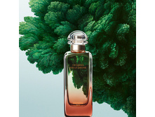 HERMES UN JARDIN SUR IA LAGUNE unisex 100ml edt test