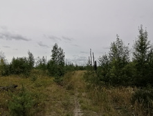 IMG 20200808 114343.jpg