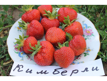 �������� (���� �� ���������)