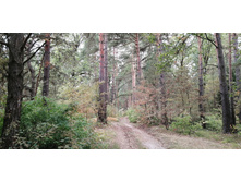 IMG 20200830 132735.jpg