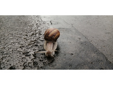 IMG 20200803 064103.jpg