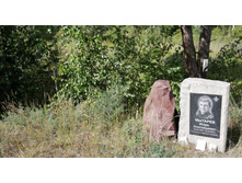 IMG 20200801 154735.jpg