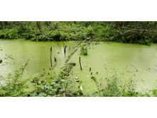 IMG 20200802 151246.jpg