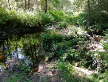 IMG 20200823 124515.jpg