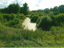 20200718 ��� ������� 164130.jpg