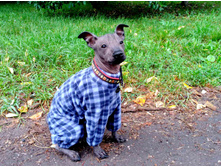 ����������� viber 2020-08-13 07-53-02.jpg