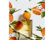 FRUIT COLLECTION ORANGE DOLCE & GABBANA � � 150 �� 9300+%+����