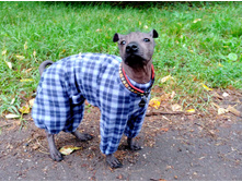 ����������� viber 2020-08-13 07-53-05.jpg