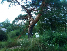 20200718 ��� ������� 131906.jpg