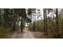 IMG 20200830 160423.jpg