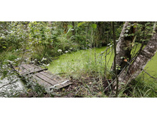 IMG 20200802 152328.jpg