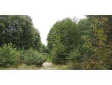 IMG 20200830 141744.jpg