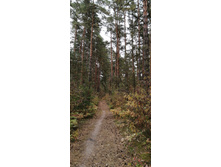 IMG 20200830 155759.jpg