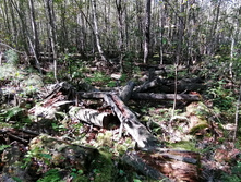 IMG 20200823 131432.jpg