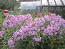 ����� �������, ������, ���������������� �� ������ �����.����� �������.