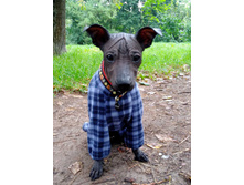 ����������� viber 2020-08-13 07-53-01.jpg