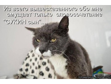 �� ����� �������������� ��� ��� ������� ������ �������������� "����� ���" ...