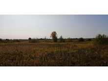 IMG 20200927 123619.jpg