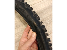 20200830 131918 HDR.jpg