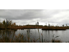 IMG 20200919 121635.jpg